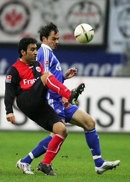 样的年轻球 样的年轻球